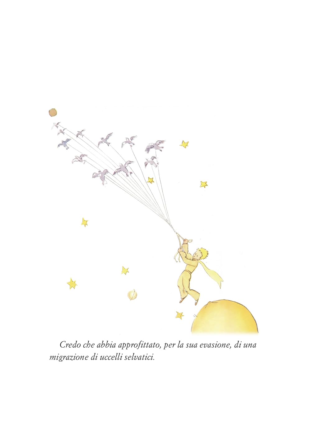 Il piccolo Principe