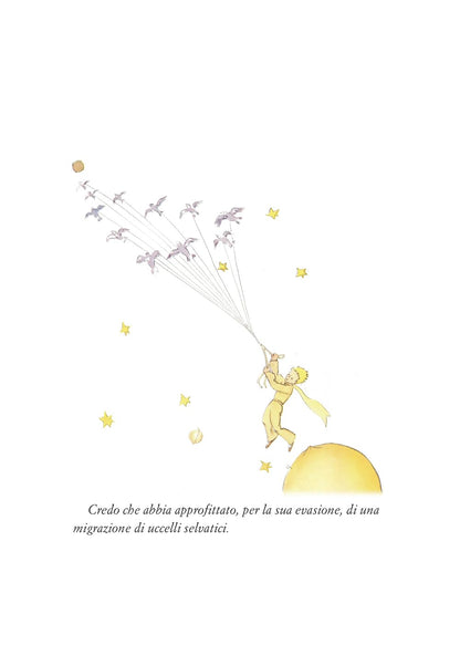 Il piccolo Principe