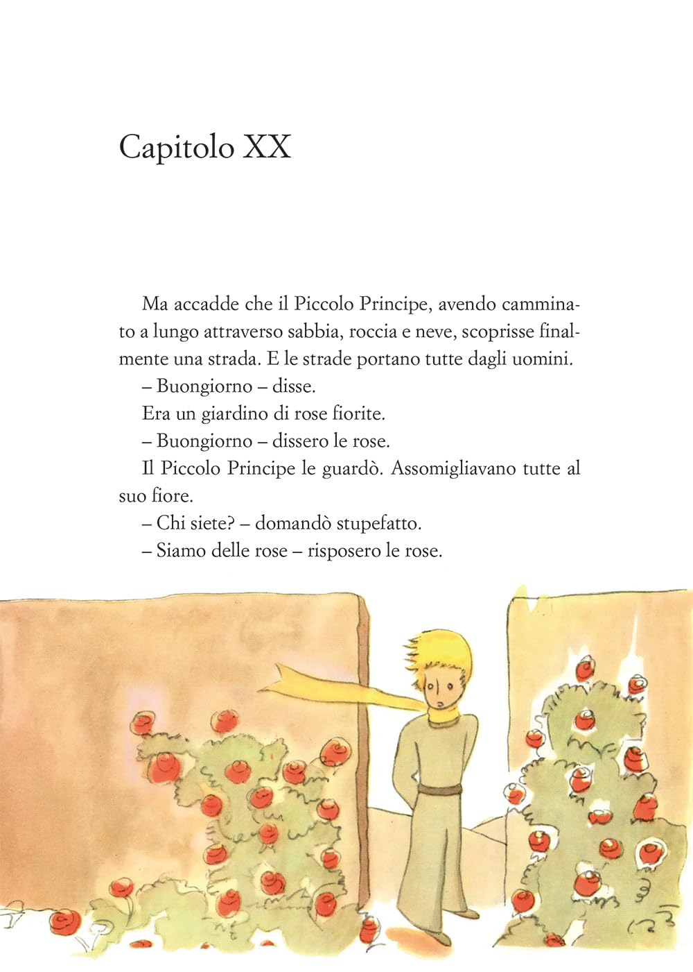 Il piccolo Principe