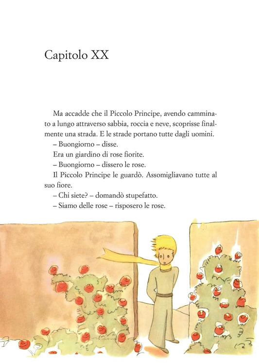 Il piccolo Principe