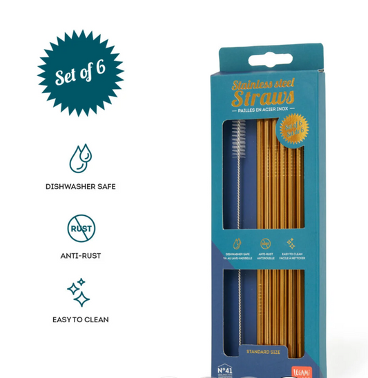 Set di 6 Cannucce in Acciao Inox - Standard