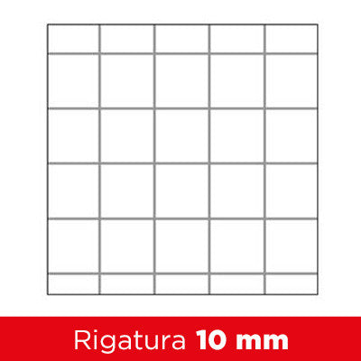 Quaderno maxi Coccolotti Rigatura 10mm